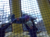 2002_Spring Fling_122